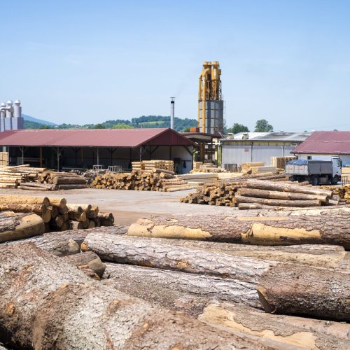 View of industrial sawmill factory for wood processing.